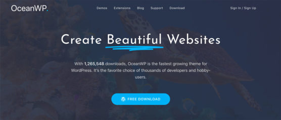 sfwpexperts.com-best-wordpress-theme-to-use-in-2020-oceanwp