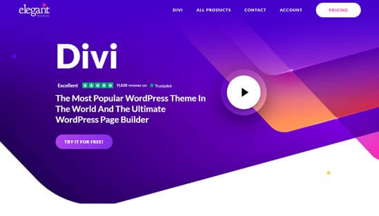 sfwpexperts.com-10-Best-Wordpress-Themes-To-Use-In1-2021-divi