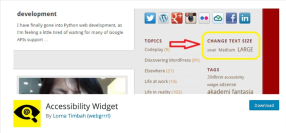 sfwpexperts.com-Best-WordPress-Accessibility-Plugins-accessibility-widgets