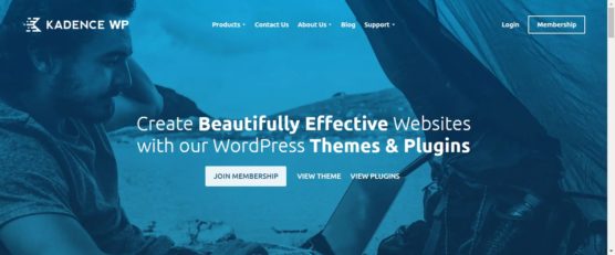 sfwpexperts.com-Best-Responsive-WordPress-kadence-wp