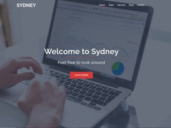 sfwpexperts.com-Best-Responsive-WordPress-sydney