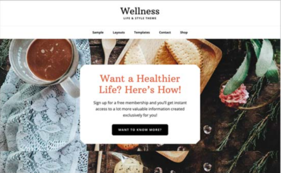 sfwpexperts.com-Best-Education-WordPress-Theme-wellnesspro