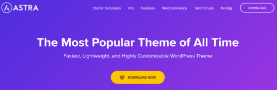 sfwpexperts.com-Best-Wordpress-Theme-Marketplace-To-Consider-In-2021-Astra