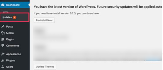 sfwpexperts.com-How To Safely-Update-WordPress-Theme-Without-Losing-Customized-Design2