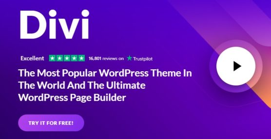 sfwpexperts.com-8-Best-WordPress-Consultation-Theme-To-Use-In-2021-divi