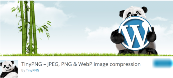 sfwpexperts.com-Best-WordPress-Image-Compression-Plugin-TinyPNG